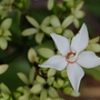 Croppeddsc_0127
