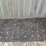 Onions before planting