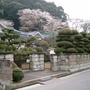 Manicured Trees