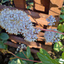 Dsc00063_edited