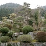 Private Garden 2