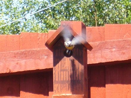 P1000576.jpg