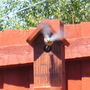 P1000576