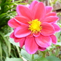 P1010764.jpg
