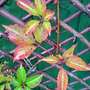 Dsc00076_edited