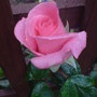Dsc00077