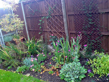 my garden - greenhouse bed