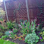 Dsc00091_edited