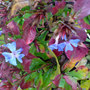 Dsc00062_edited