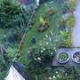 my back garden