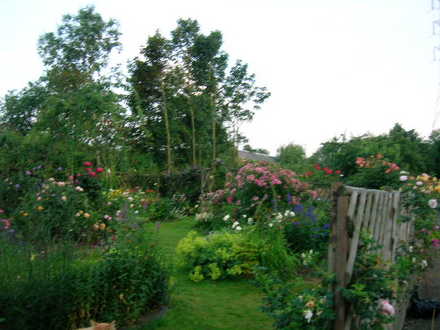 Summer 20006