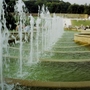Alnwick castle garden 