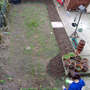 before the garden bloomed