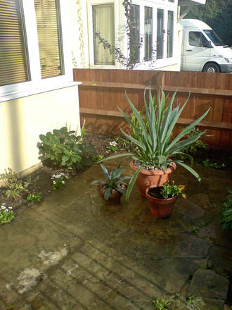 corner - front garden revamped