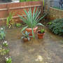 front garden revamp autumn 07