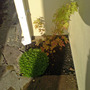 Dsc00068_edited
