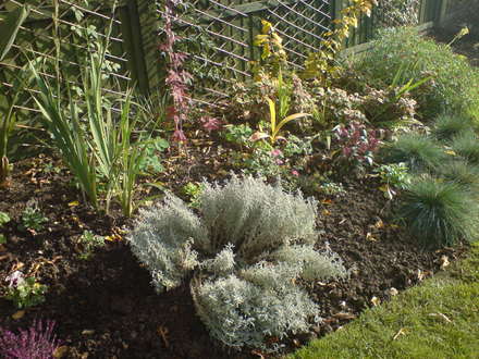 woodland bed nov 07