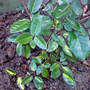 Dsc00069_edited