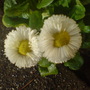 Dsc00067