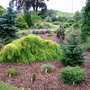 Foxhollow, garden view