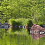 Sample_pic_18