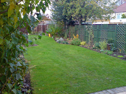 my garden nov 07