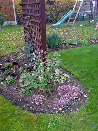 trellis bed