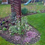 Dsc00063_edited