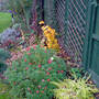Dsc00062_edited