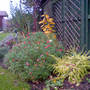 Dsc00064_edited