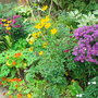 Autumn border 2007