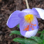 Dsc00570