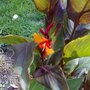 02092007391