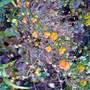 Dsc00066_edited
