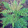 Dsc00070_edited