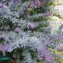 Pict0058