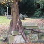 Picture_934