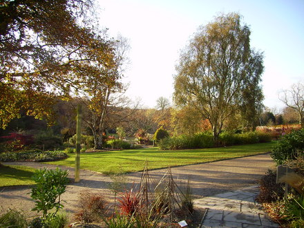 Harlow Carr