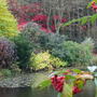 The_dingle_-_autumn_07_003