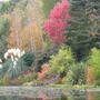 The_Dingle_-_Autumn_07_005.jpg