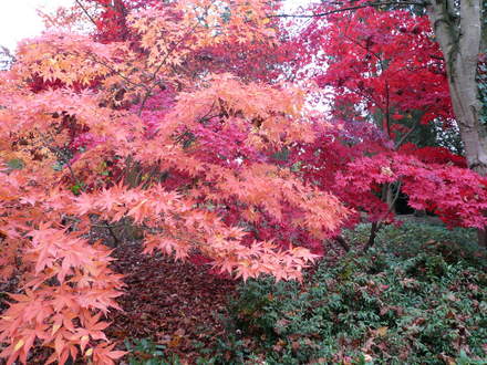 The_Dingle_-_Autumn_07_007.jpg