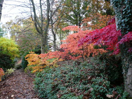 The_Dingle_-_Autumn_07_010.jpg