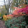 The_dingle_-_autumn_07_010