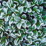 Dsc00065_edited