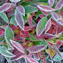 Dsc00064_edited