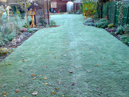 winter on the patio
