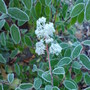 Dsc00069
