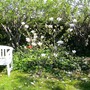 Dsc04263