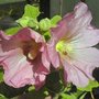 Dsc00855