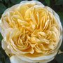 Dsc00770